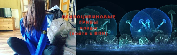 шишки Пересвет