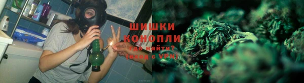 гашик Алзамай