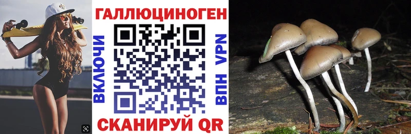 KRAKEN ссылка Алзамай Псилоцибиновые грибы прущие грибы